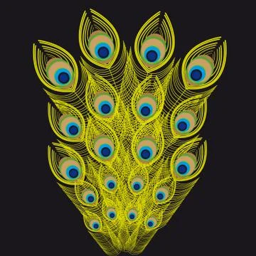 Peacock feathers on black Background. Illustrazione stock