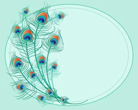 Peacock feathers Stock Illustration