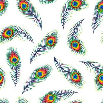 Peacock feathers seamless pattern. Stock Illustration