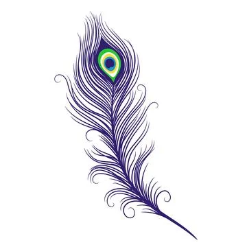 Peacock feathers on a white background Stock Illustration