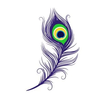 Peacock feathers on a white background Stock Illustration