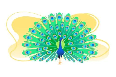 Peacock flat colorful vector illustration. Pretty color green tail banner Stock Illustration