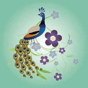 Peacock with flowers Illustrazione stock
