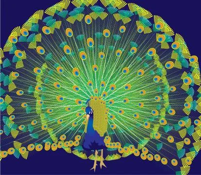 Peacock Stock Illustration
