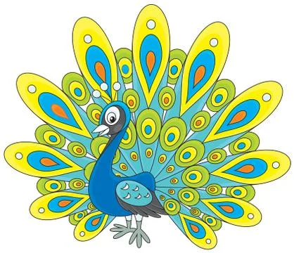 Peacock Stock Illustration