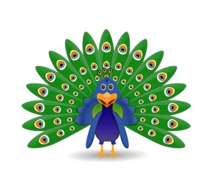 Peacock illustration isolated Stock Illustration