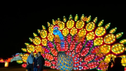 Peacock Lantern Stock Footage 101215129