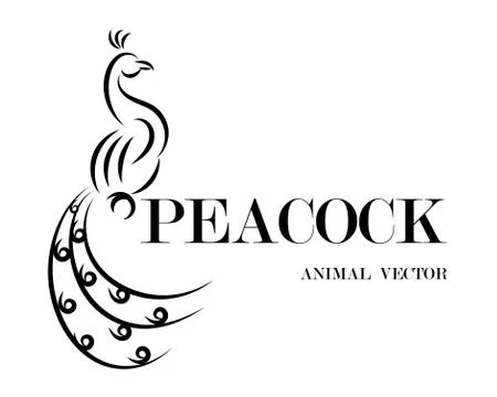 Peacock line art vector eps 10 Stock Illustration