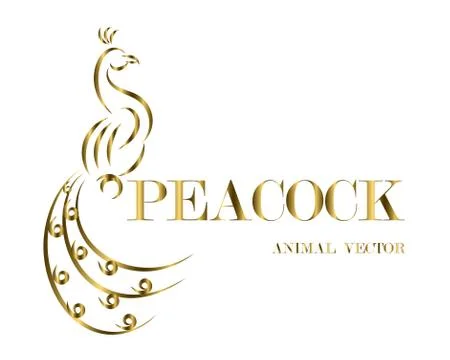 Peacock line art vector eps 10 Stock Illustration