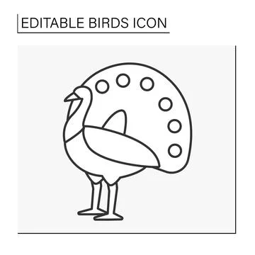 Peacock line icon Stock Illustration