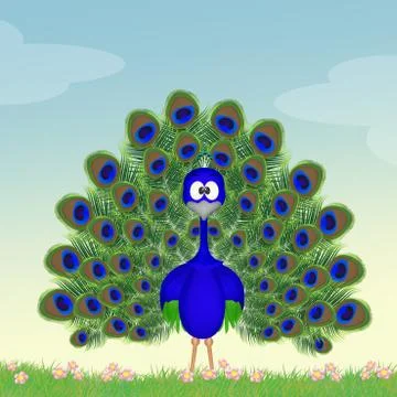 Peacock with open tail Stock Illustration
