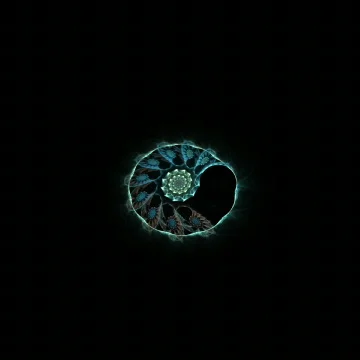 Peacock Spiral Stock Footage 864290