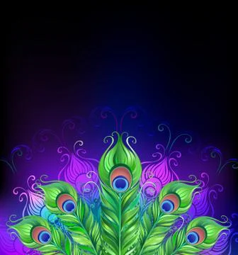 Peacock Tail Stock Illustration