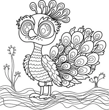Peacock vector, outline drawing on a white background Stock Illustration