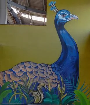 Peacock wall painting Stock Photos