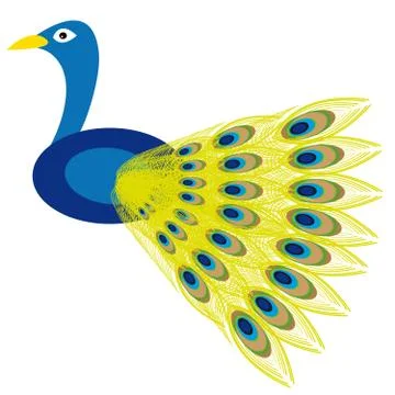 Peacock  on white background Stock Illustration