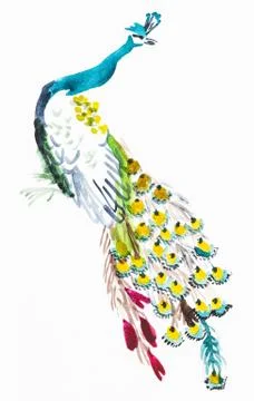 Peacock on white paper Stock Illustration