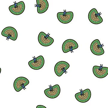 Peacock wild bird vector seamless pattern イラスト素材