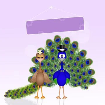 Peacocks spouses Stock Illustration