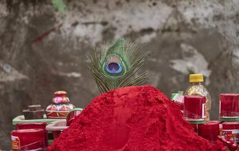 A peacock's wing Stock Photos