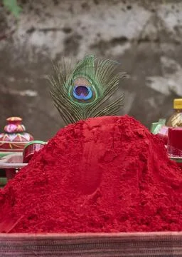 A peacock's wing Stock Photos