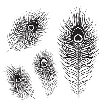 Peafowl feather set Illustrazione stock