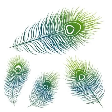 Peafowl feather set Illustrazione stock