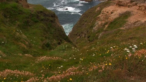 Peak of the Atlantic Ocean from cliff tops in Cornwall, England Stock Footage 101490655