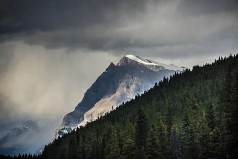 Peak Beyond the Forest Foto stock