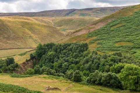 Peak District Landscape Stock Photos