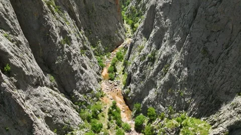 Peak Expedition: Aerial View of Spring Forest and Hiking Journey to the Summit Stock Footage 243176261