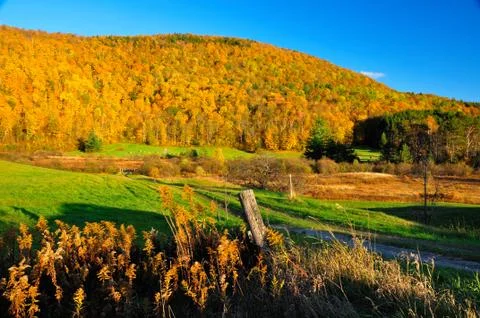 Peak fall foliage Foto stock