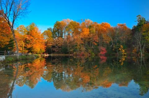 Peak fall foliage Foto stock