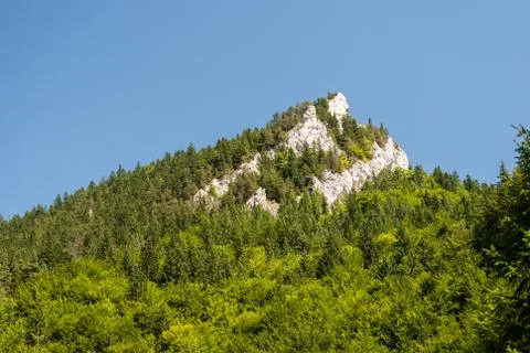 Peak with forest Stock Photos