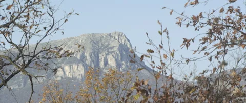 Peak of mountain Stol through tree branches 4K anamorphic video Stock Footage 324636760