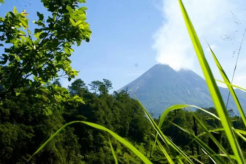 Peak of mountain viewed from grass Stock Photos