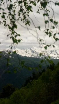 The peak of mountains, Caucasus mountain range, seen through birch branches Stock Photos