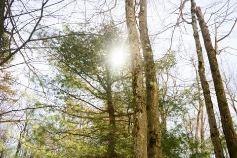 Peak Of Nature Stock Photos