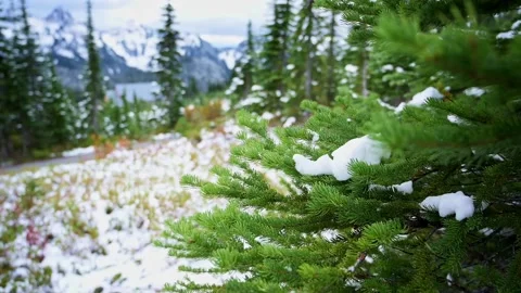 Peak - Paradise Trail Stock Footage 140464147