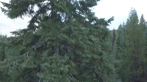 Peak shrouded in clouds Stock Footage 166492591