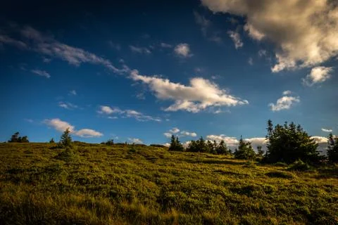 Peak of Velky Keprnik with pine trees, field of green grass Stock Photos