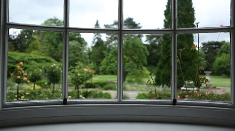 Peaking into the garden Stock Footage 39147346