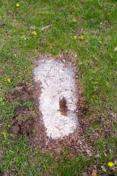 Peaking through Stock Photos