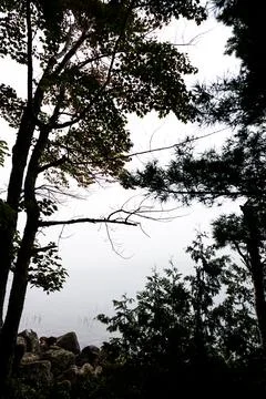 Peaking through the tree line over Jordan Pond in Acadia National Park, Maine Stock Photos