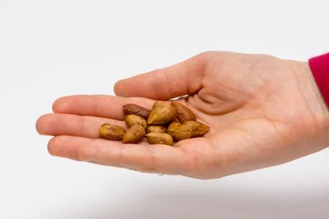 Pealed hazelnuts in the hand Stock Photos