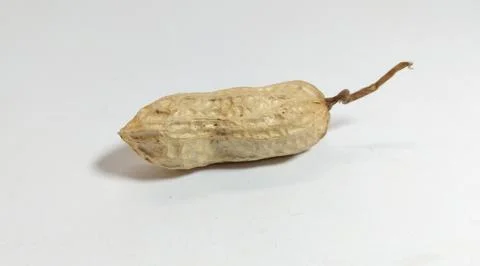Peanut 2 Stock Photos