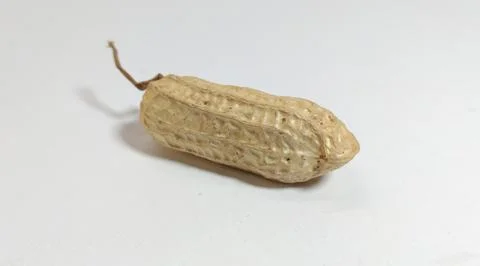Peanut 3 Stock Photos