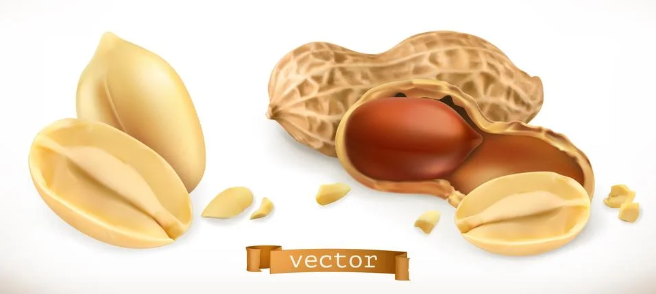 Peanut. 3d realistic vector icon set Stock Illustration