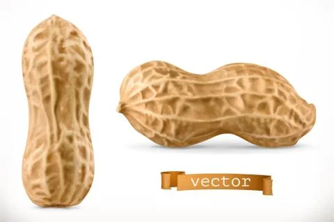 Peanut. 3d vector realistic icon Stock Illustration