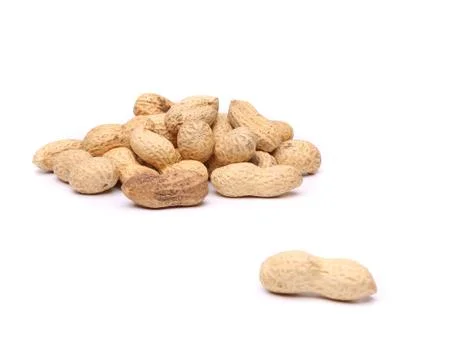 Peanut and a hill of peanuts Stock Photos